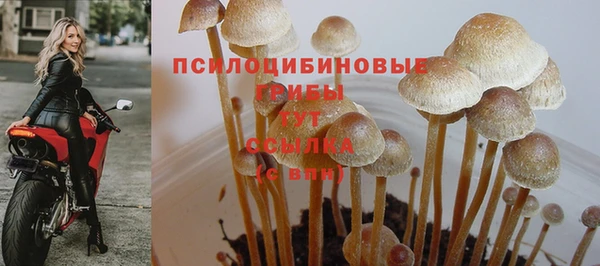 амф Балабаново