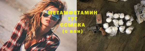прущие грибы Баксан