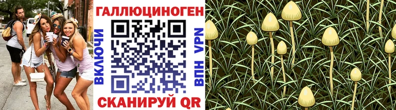 дарнет шоп  Красноуфимск  mega как зайти  Псилоцибиновые грибы мухоморы 